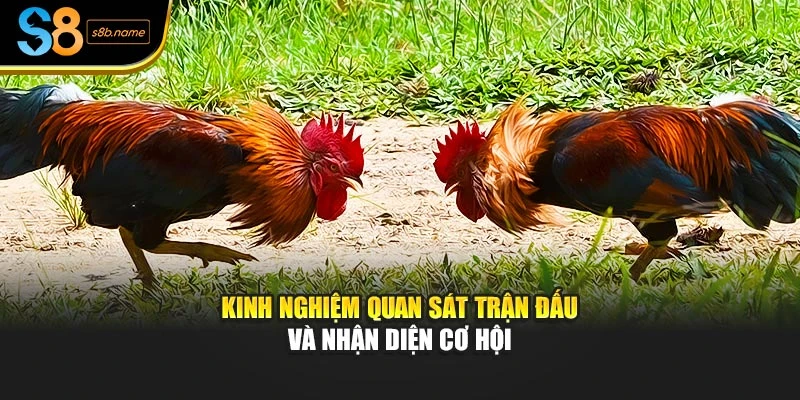 Kinh nghiệm quan sát trận đấu và nhận diện cơ hội