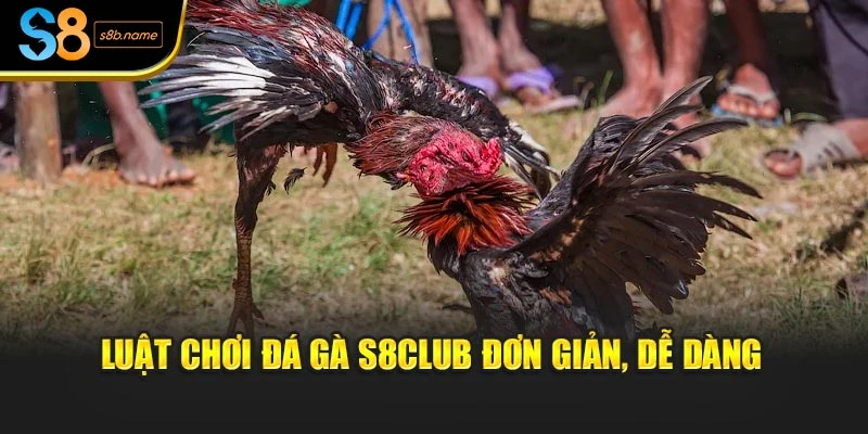 Luật chơi đá gà S8club đơn giản, dễ dàng