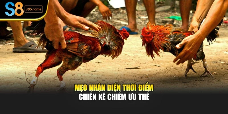 Mẹo nhận diện thời điểm chiến kê chiếm ưu thế