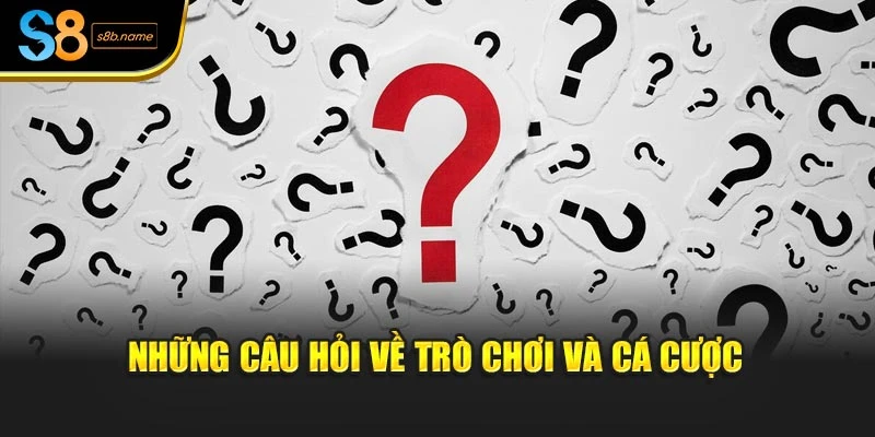 Những câu hỏi về trò chơi và cá cược