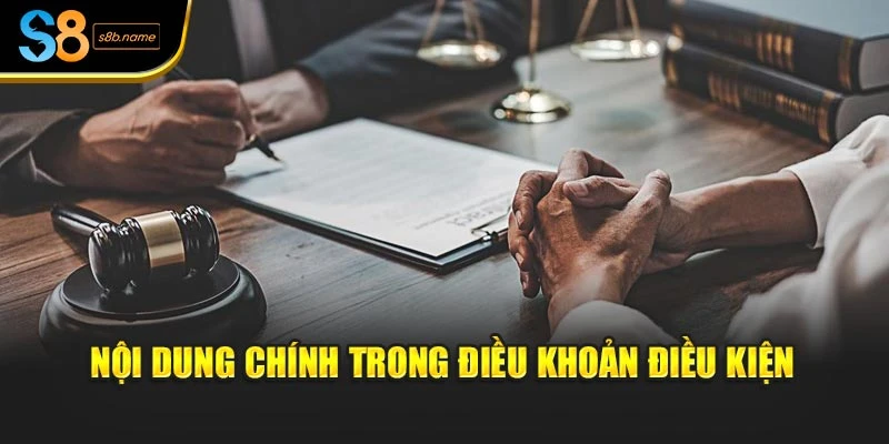 Nội dung chính trong điều khoản điều kiện